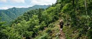 A yamabushi walking along an ancient mountain trail through a natural Japanese cedar forest.